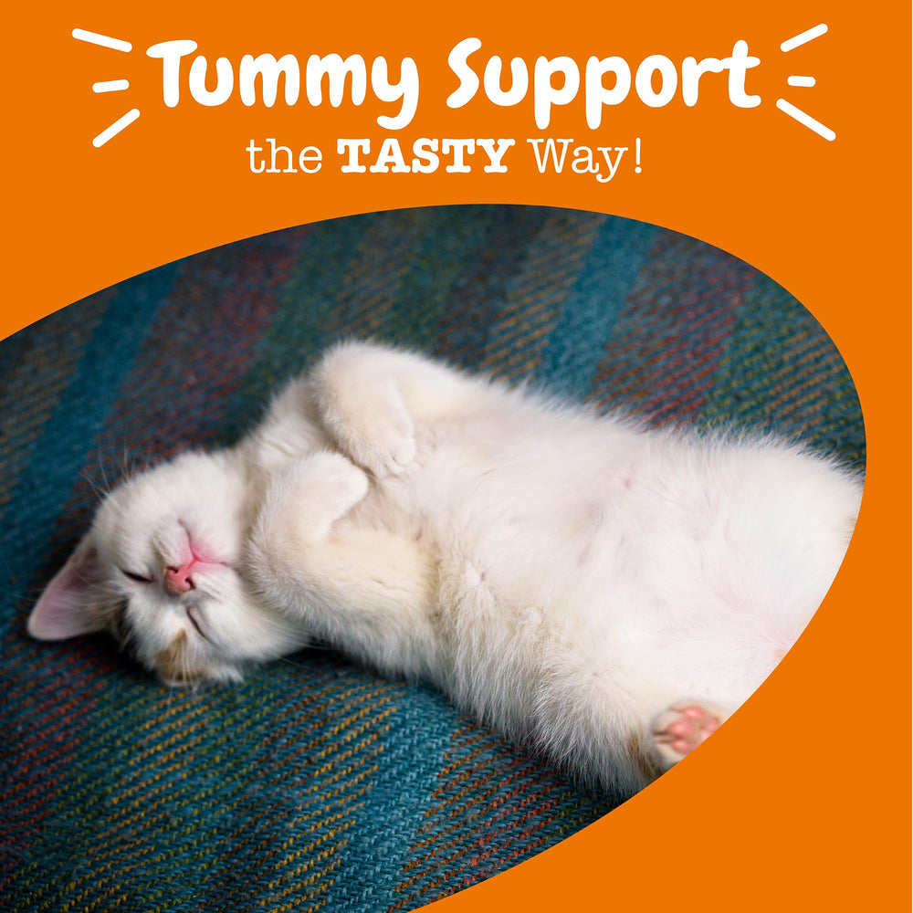 Chat recevant Zesty Paws – bouchées savoureuses pour le soutien immunitaire.