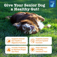 Zesty Paws Probiotics chien bouchees – bouchées savoureuses pour le confort quotidien.