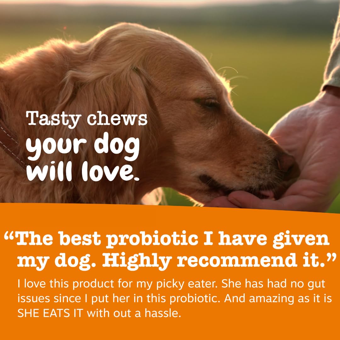 Zesty Paws Probiotics chien enzymes digestives – aide à décomposer graisses et protéines.