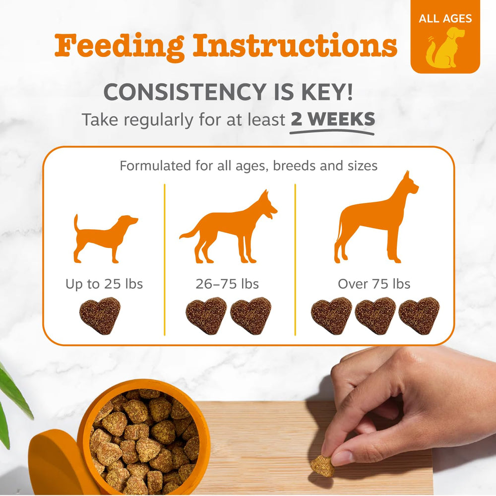 Zesty Paws Probiotiques chien PreforPro – stimule les bactéries bénéfiques.