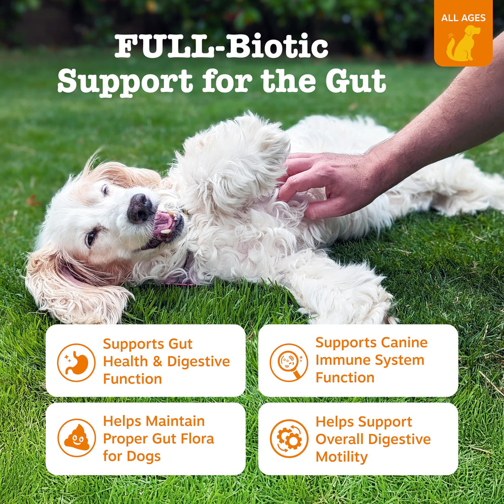 Zesty Paws Vet Strength Probiotics – bouchées pour chiens, goût apprécié.