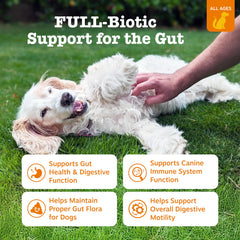 Zesty Paws Vet Strength Probiotics – bouchées pour chiens, goût apprécié.