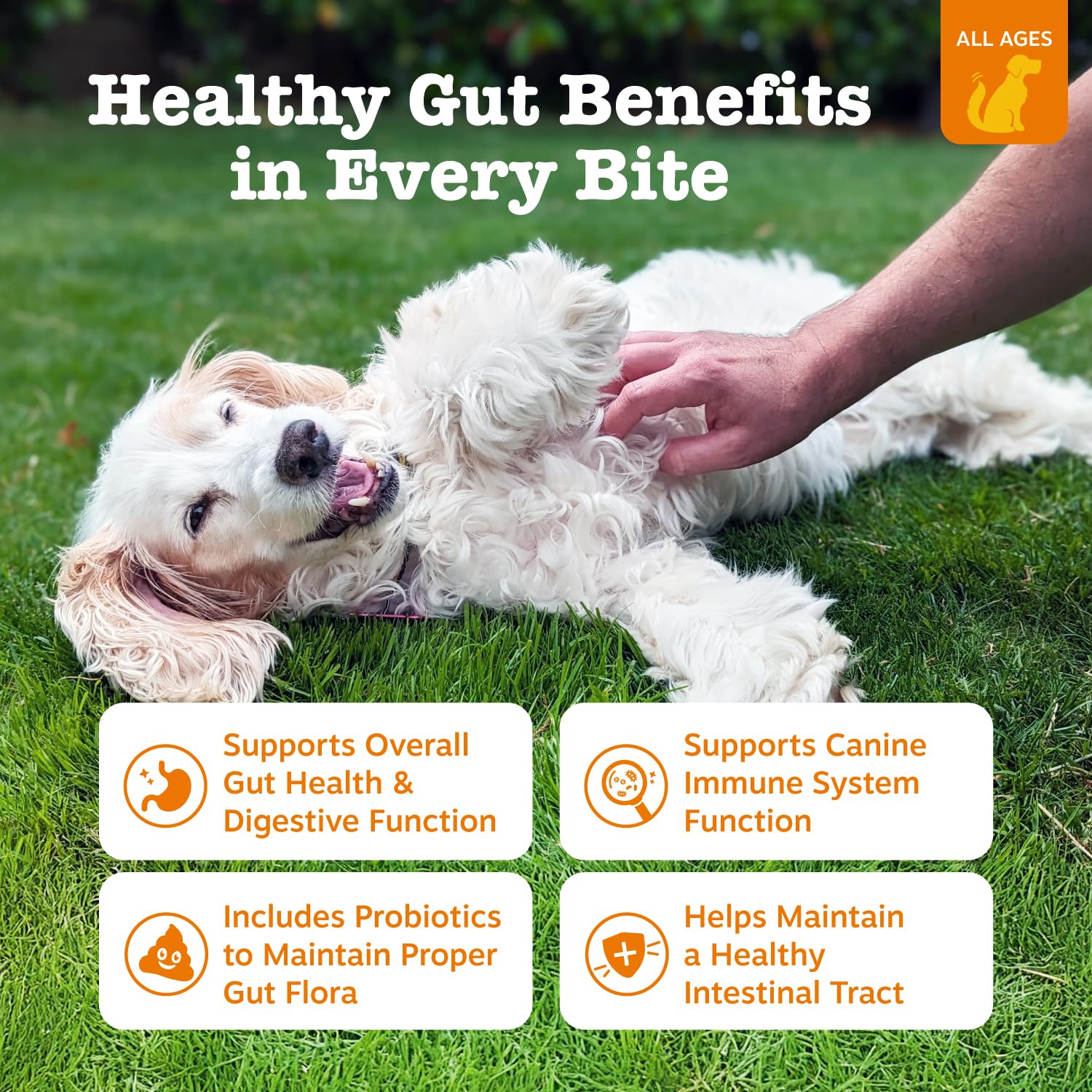 Zesty Paws friandises molles: soutien digestif quotidien pour chien.