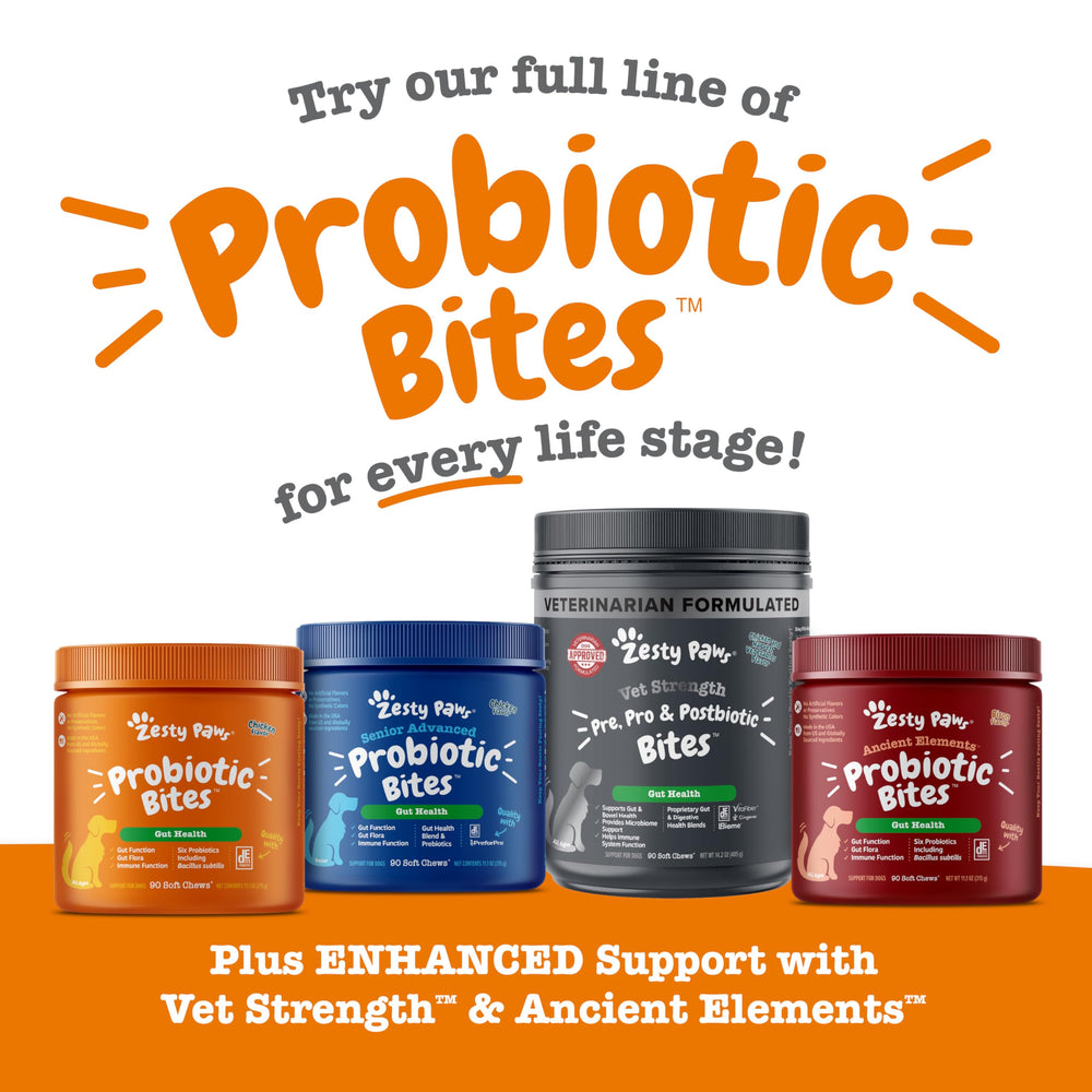 Zesty Paws Probiotiques pour chien — saveur poulet et goût apprécié.