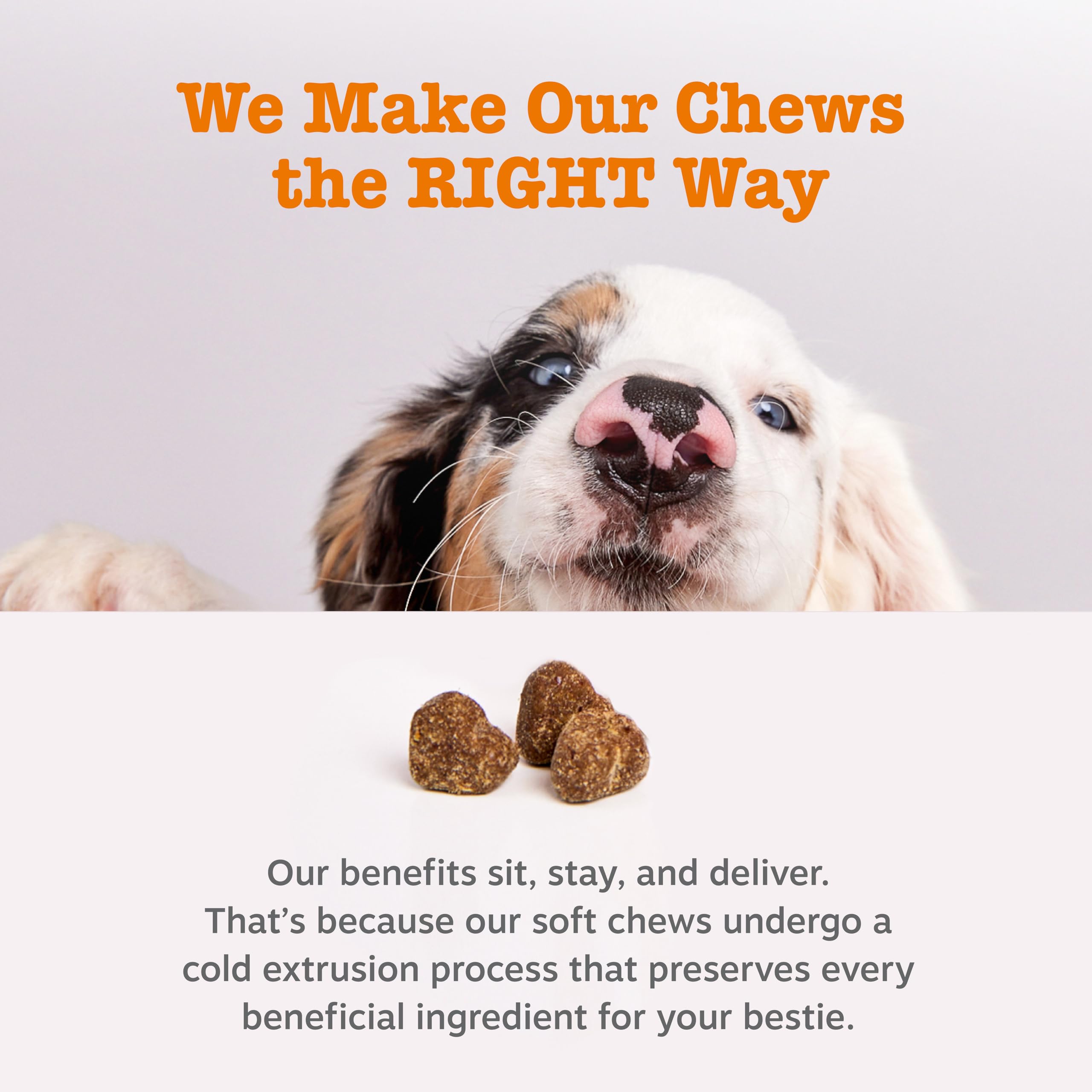 Zesty Paws Probiotiques pour chiens – soutien immunitaire potentiel grâce aux probiotiques et enzymes.