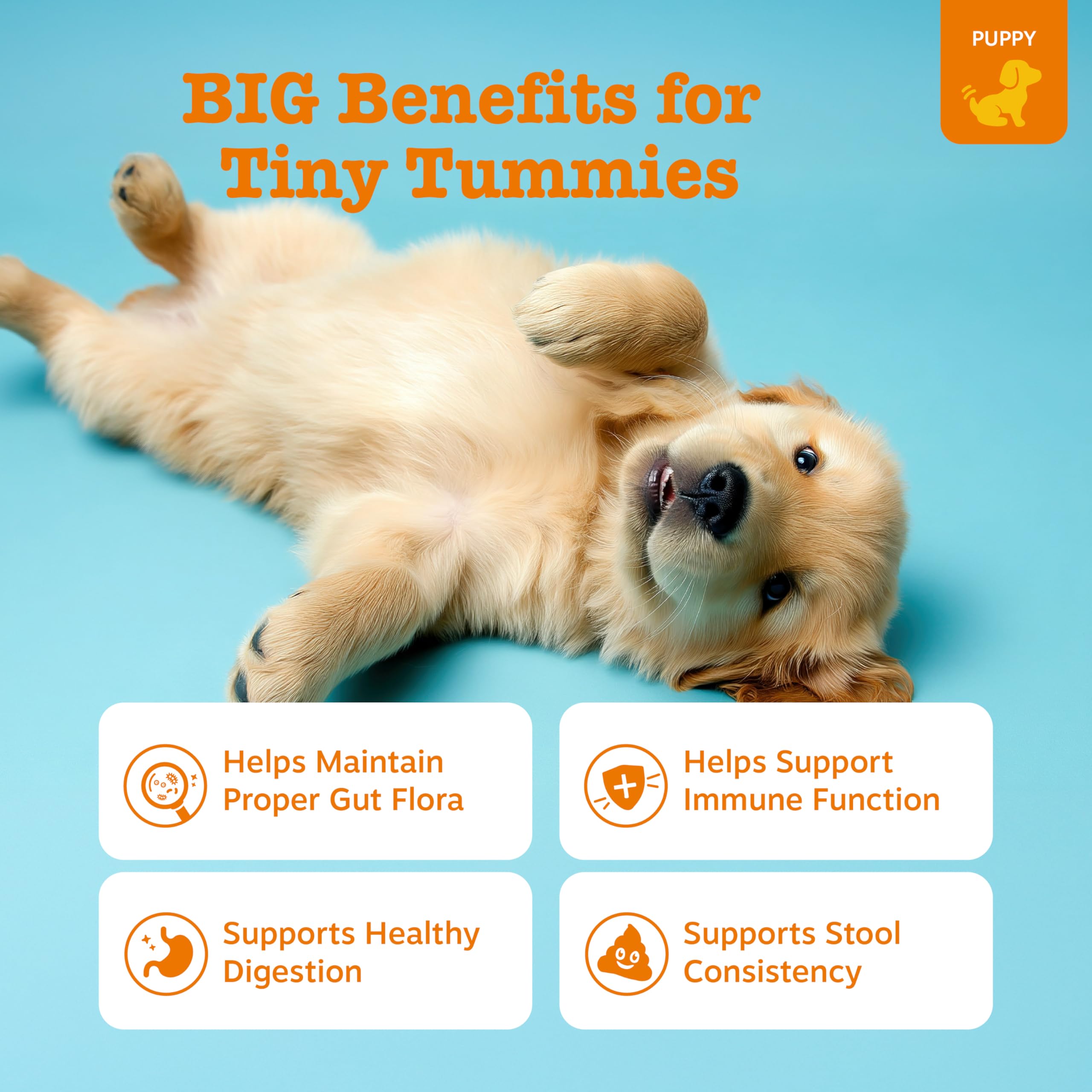 Friandises molles Zesty Paws pour chiots, soutien immunitaire et peau saine.