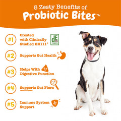 Ingrédients digestifs Zesty Paws – citrouille et papaye pour la flore intestinale