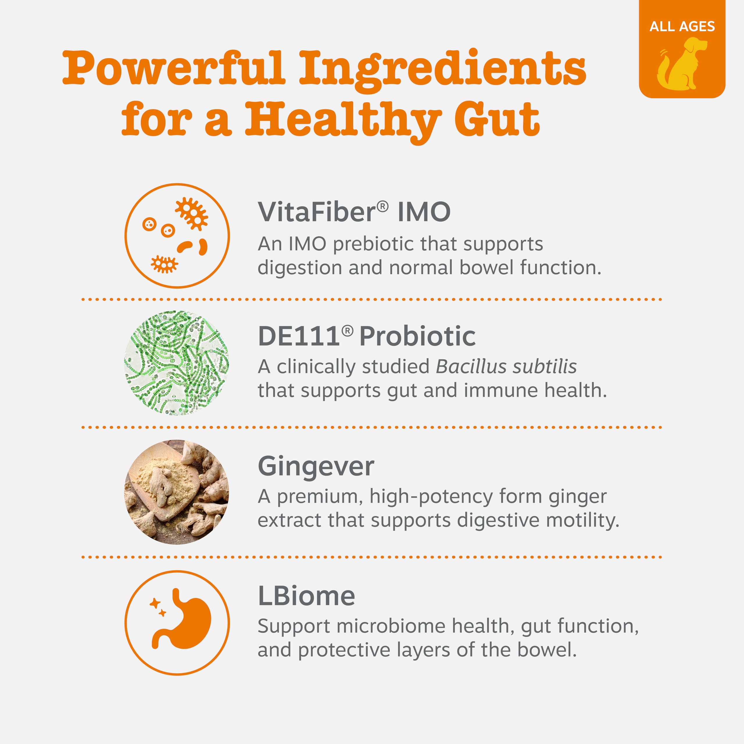 Zesty Paws Vet Strength Probiotics – texture des bouchées prête à être donnée.