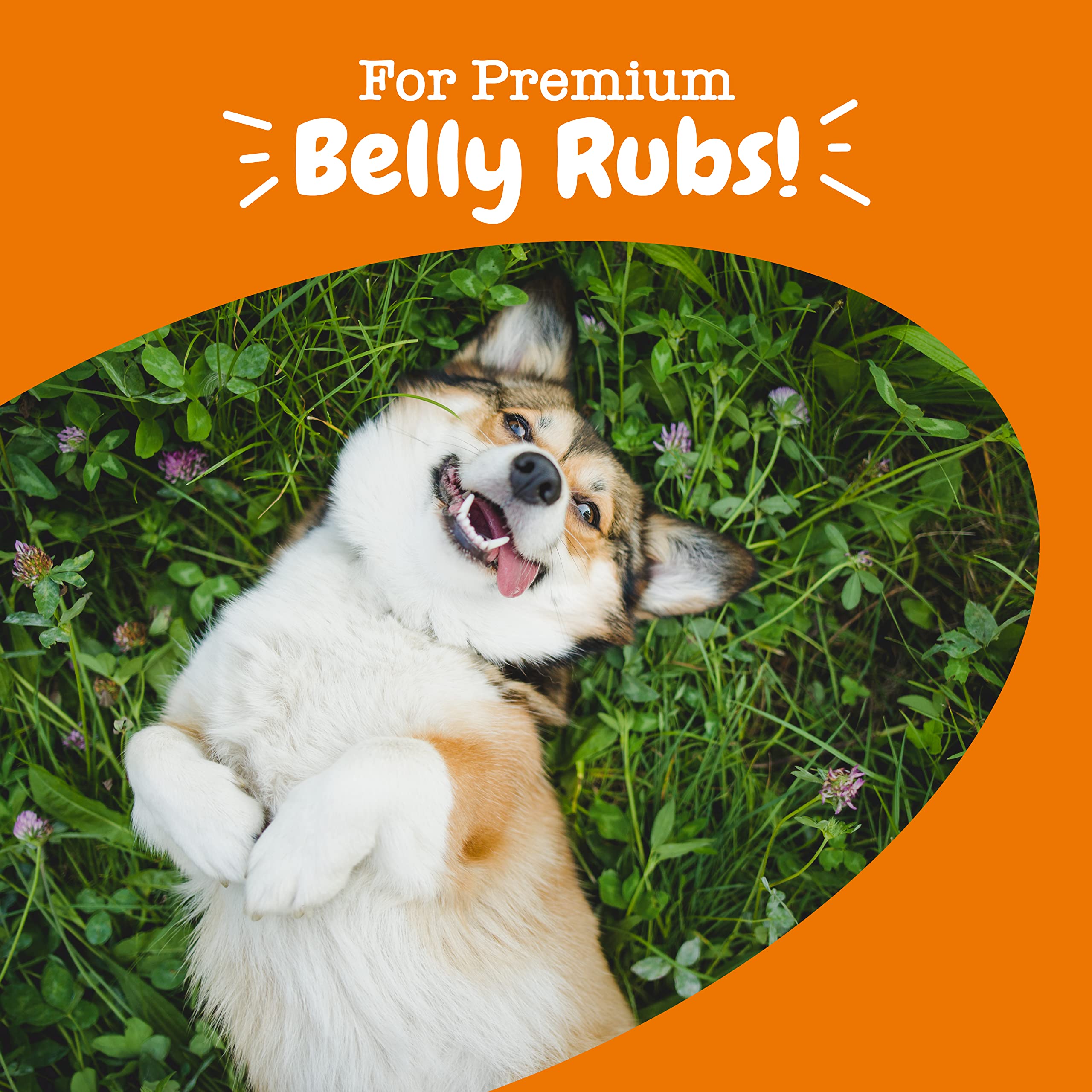 Usage quotidien – gommes probiotiques Zesty Paws pour chien, pratique et savoureuses