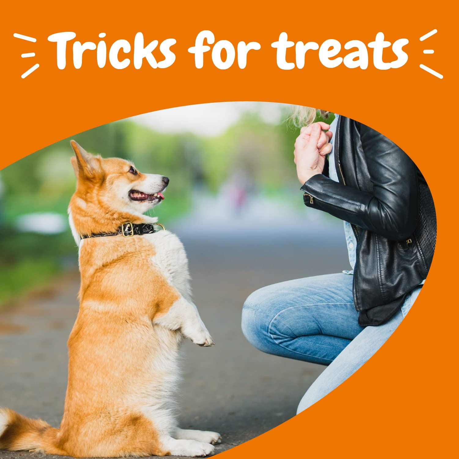Zesty Paws : portion idéale pour récompenses quotidiennes lors de l'entraînement.