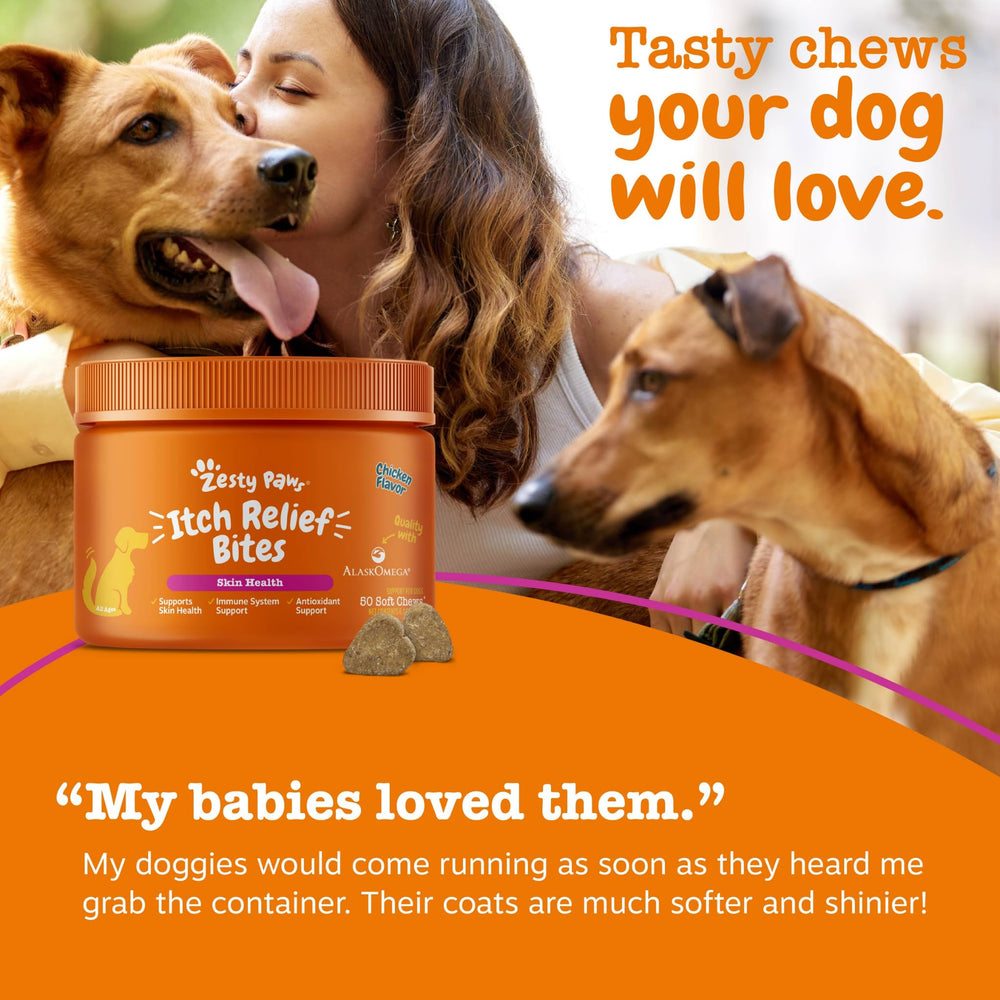 Zesty Paws santé peau-poil – complément utile pour chiens actifs