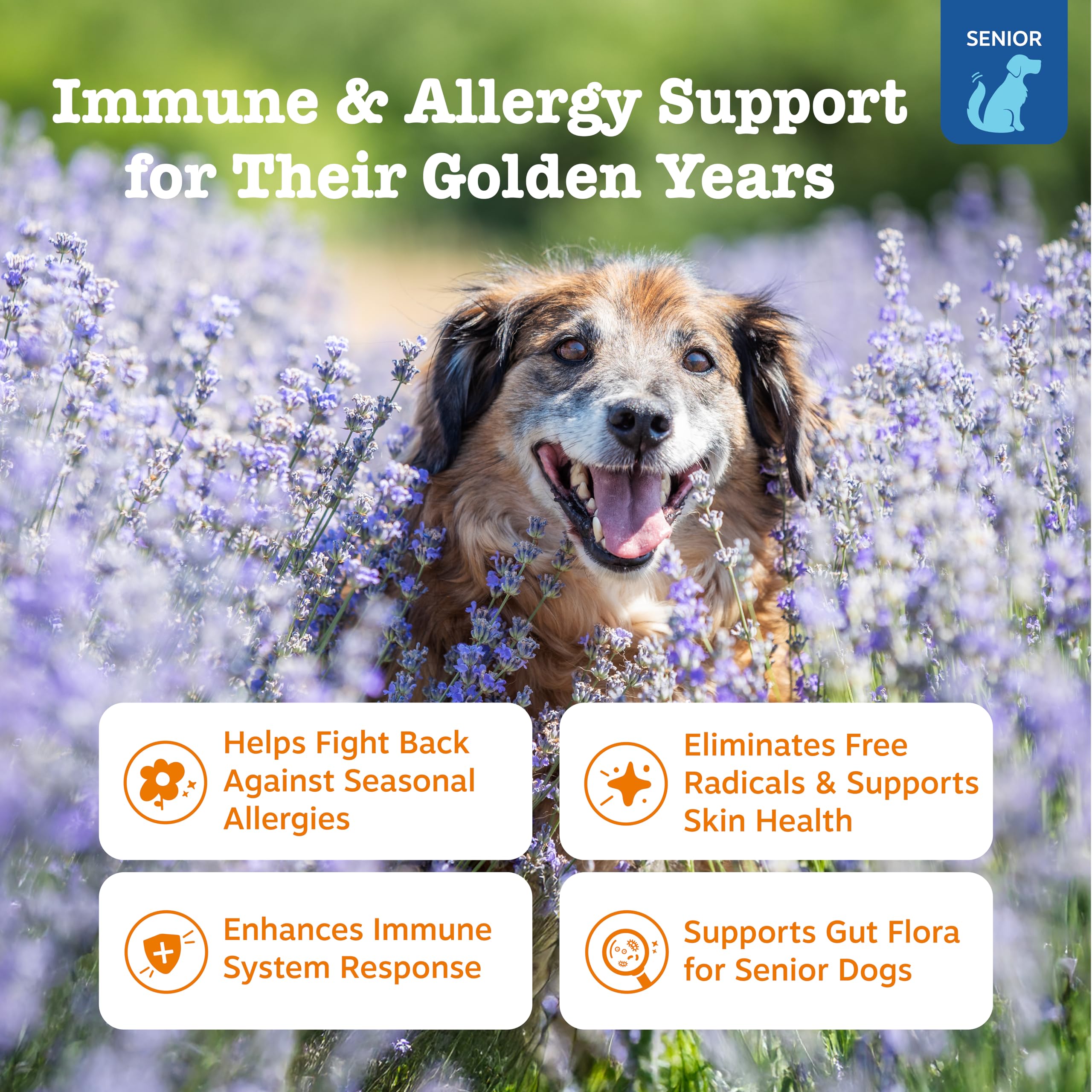 Friandises au saumon Zesty Paws Allergy Relief pour chiens