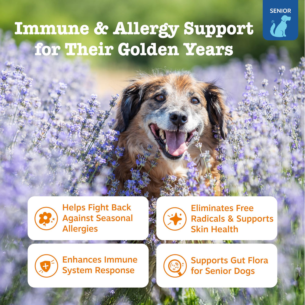 Friandises au saumon Zesty Paws Allergy Relief pour chiens