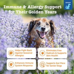 Friandises au saumon Zesty Paws Allergy Relief pour chiens