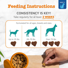 Ashwagandha Sensoril – friandise canine pour gérer le stress externe.
