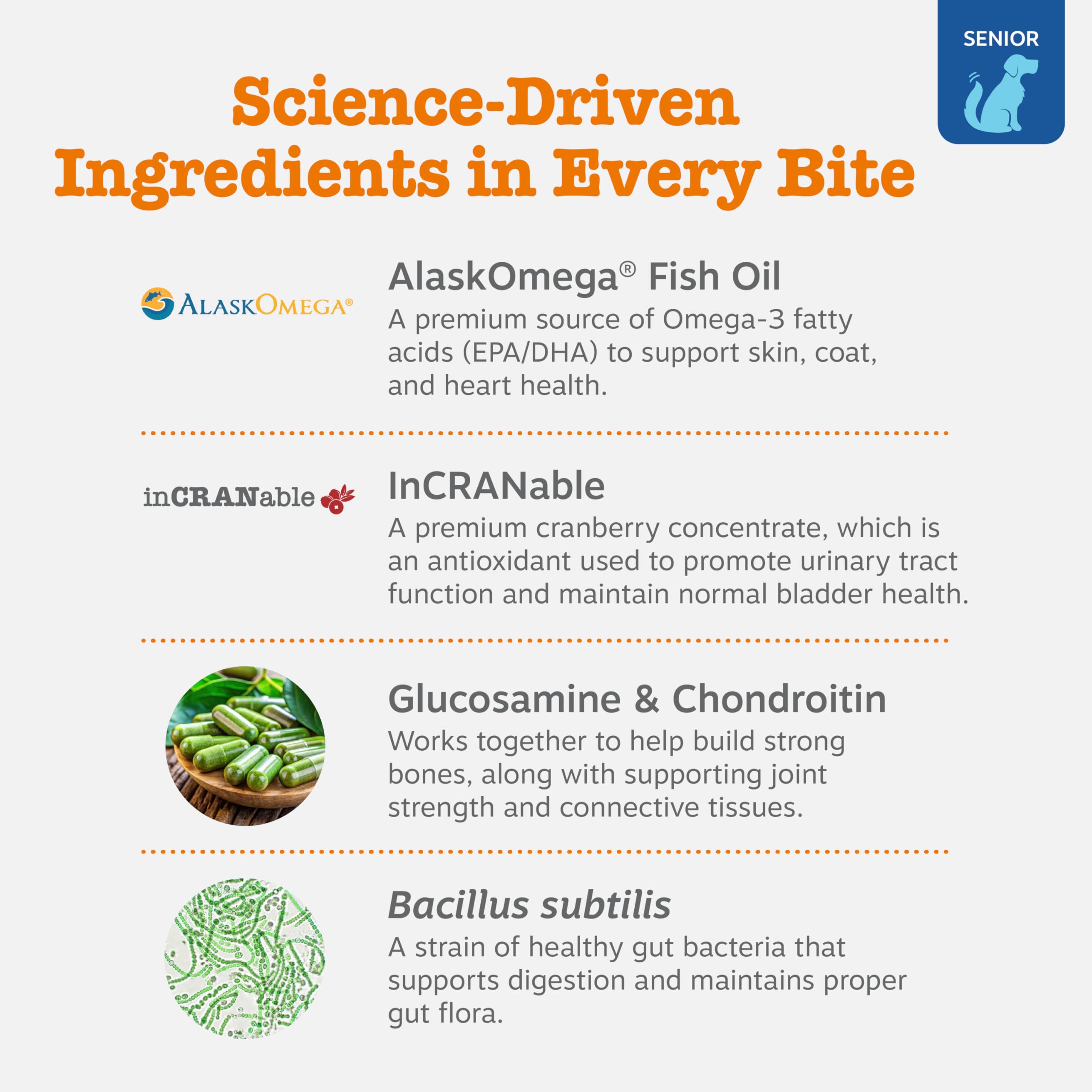 Zesty Paws Senior Chien – enzymes digestives et probiotiques pour la digestion et l'immunité.