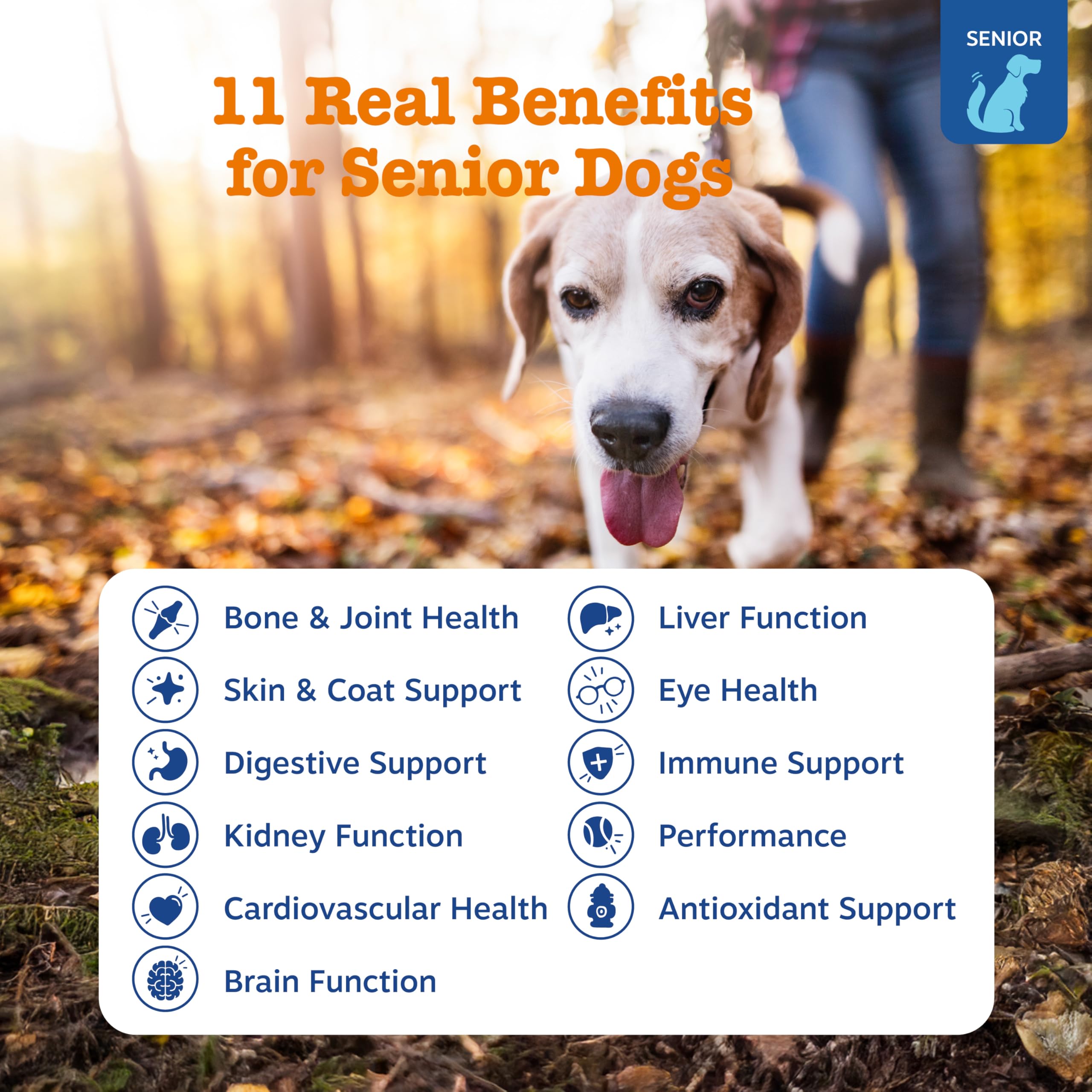 Zesty Paws Senior Chien: glucosamine-articulations, pouvant soutenir mobilité et confort des hanches.
