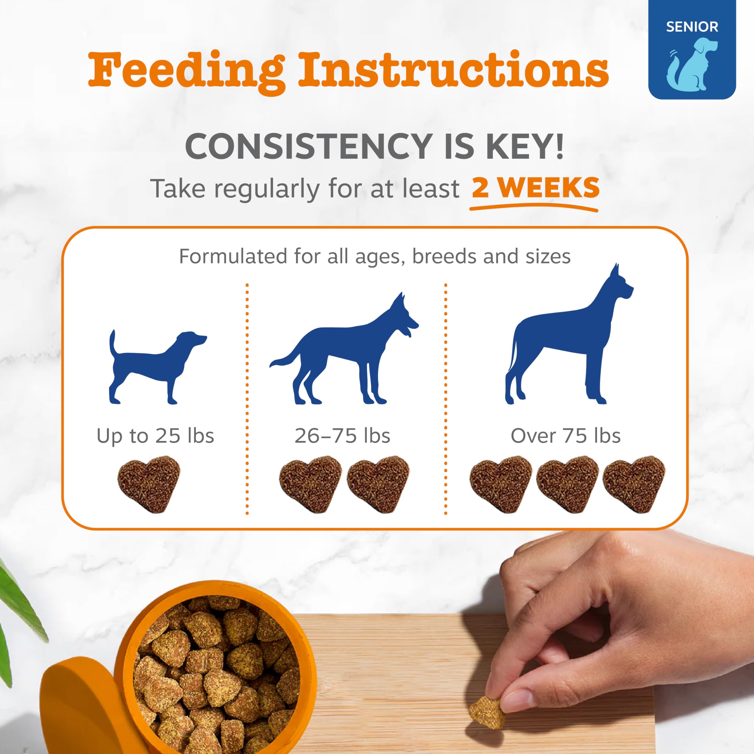 Zesty Paws Senior Chien – soutien immunitaire et vitalité générale pour chiens âgés.