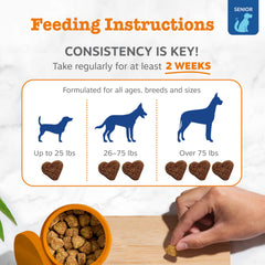 Zesty Paws Senior Chien – soutien immunitaire et vitalité générale pour chiens âgés.