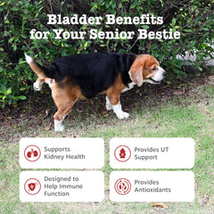 Zesty Paws Senior Cranberry bouchées ouvertes, soutien immunitaire et digestif potentiel.