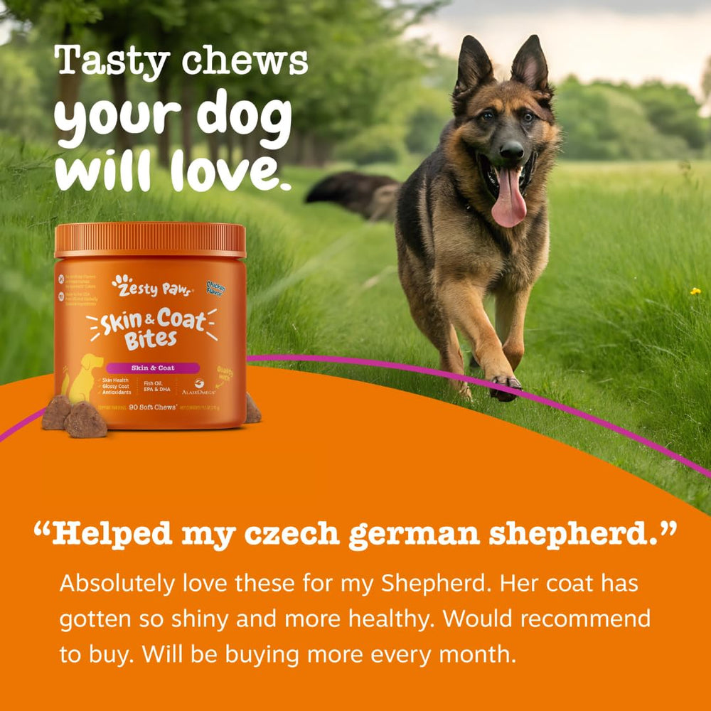 Zesty Paws soin peau poil chien Biotine: peau hydratée et poil éclatant.