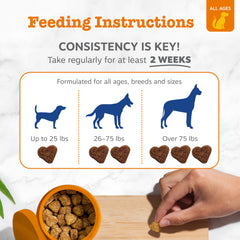 Zesty Paws soin peau et poil — ingredients essentiels pour pelage lumineux