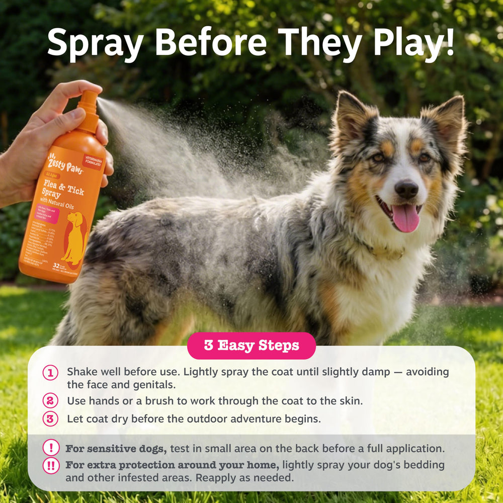 Zesty Paws Apaisement Peau — apaise les irritations après les sorties.