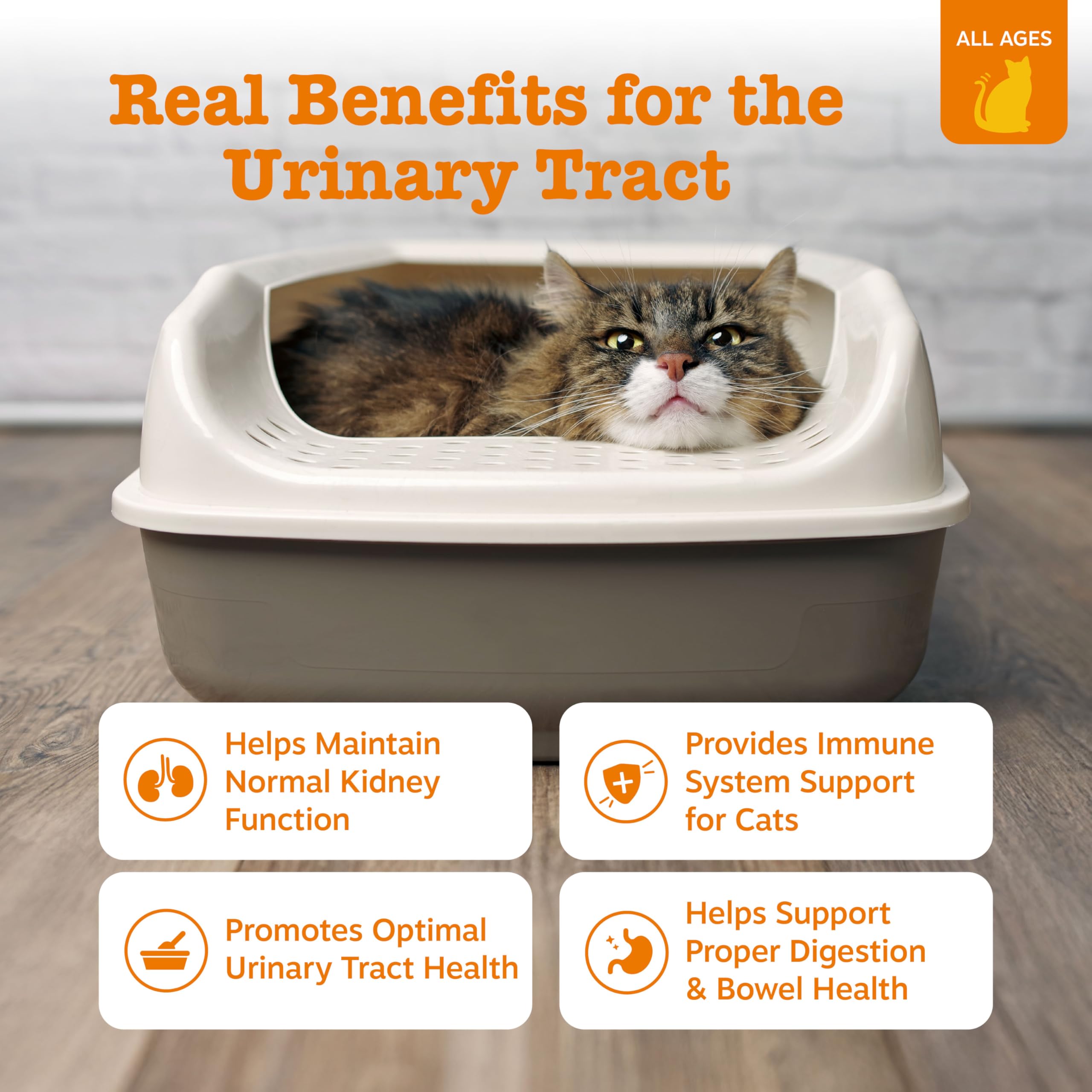 Zesty Paws Mousse Urinaire pour Chats – flacon souple et mousse appétente pour les chats