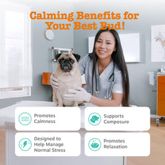 Zesty Paws Vet Strength calmants, friandises apaisantes idéales au quotidien pour chiens.