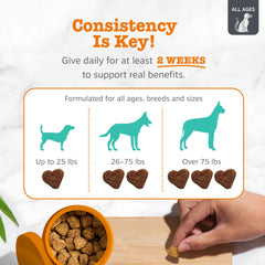 Suntheanine dans les friandises Zesty Paws Vet Strength, favorisant la détente.