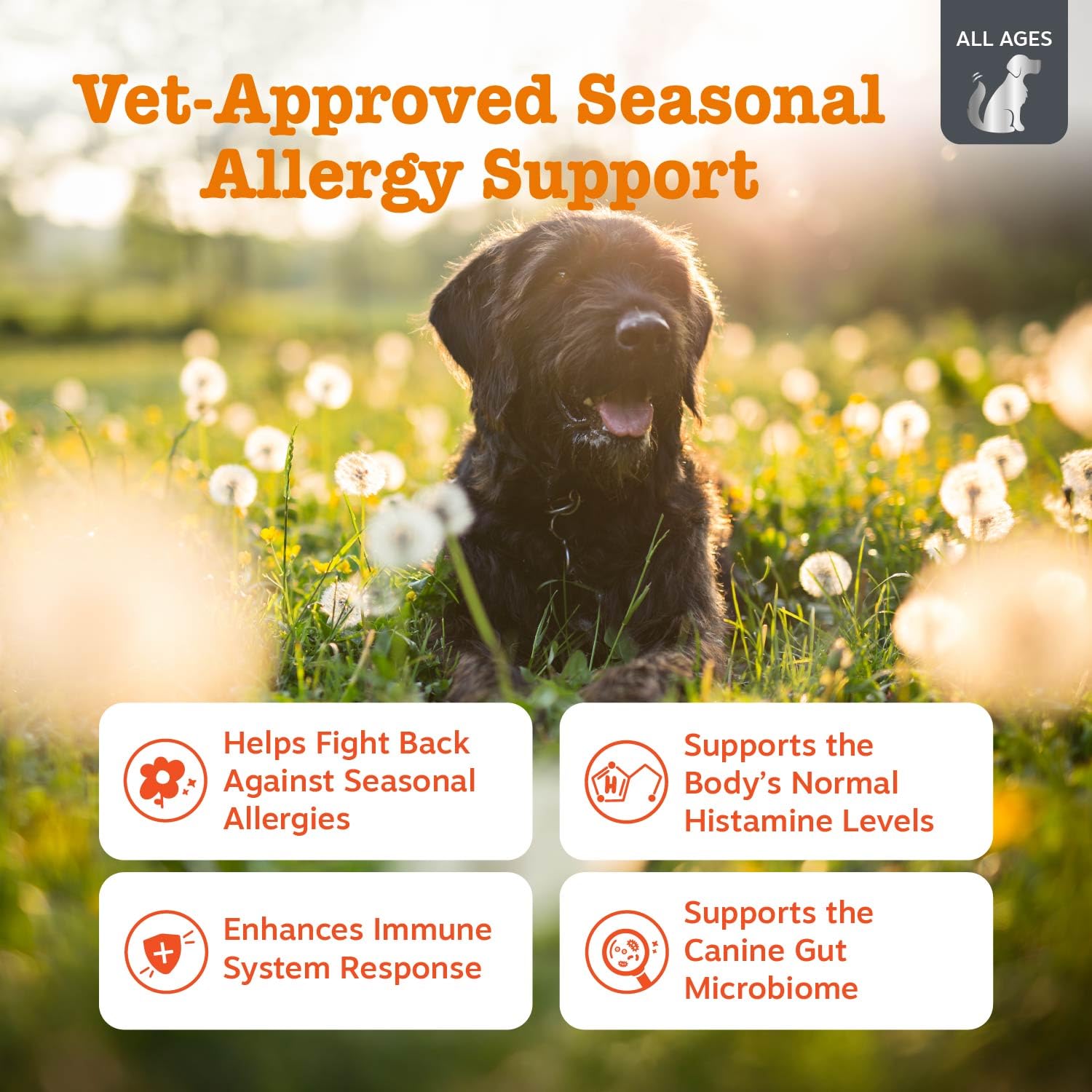 Zesty Paws Vet Strength Chews — bouchées chien, texture croquante et appétentes.