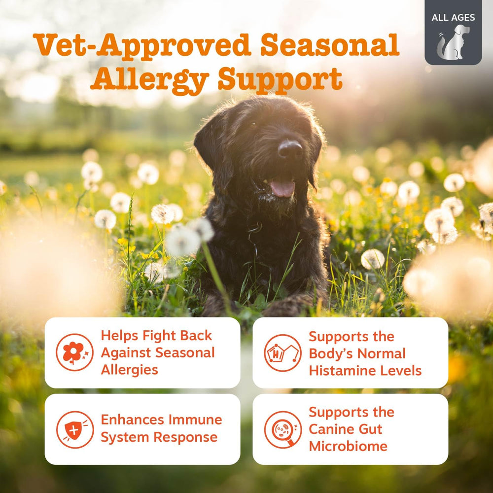 Zesty Paws Vet Strength Chews — bouchées chien, texture croquante et appétentes.