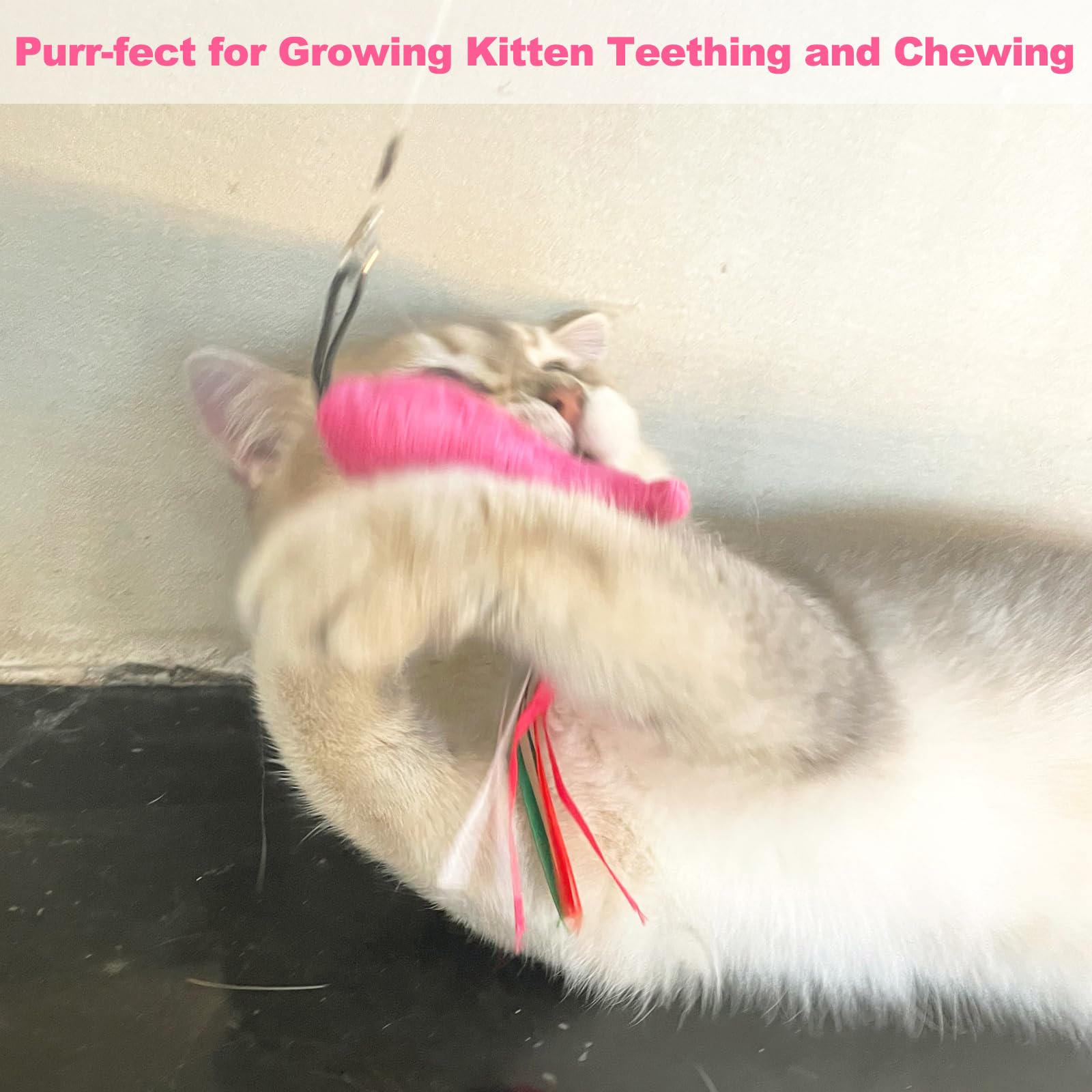 Canne-à-chat ZeyZoo rose avec poisson, pour des jeux interactifs.