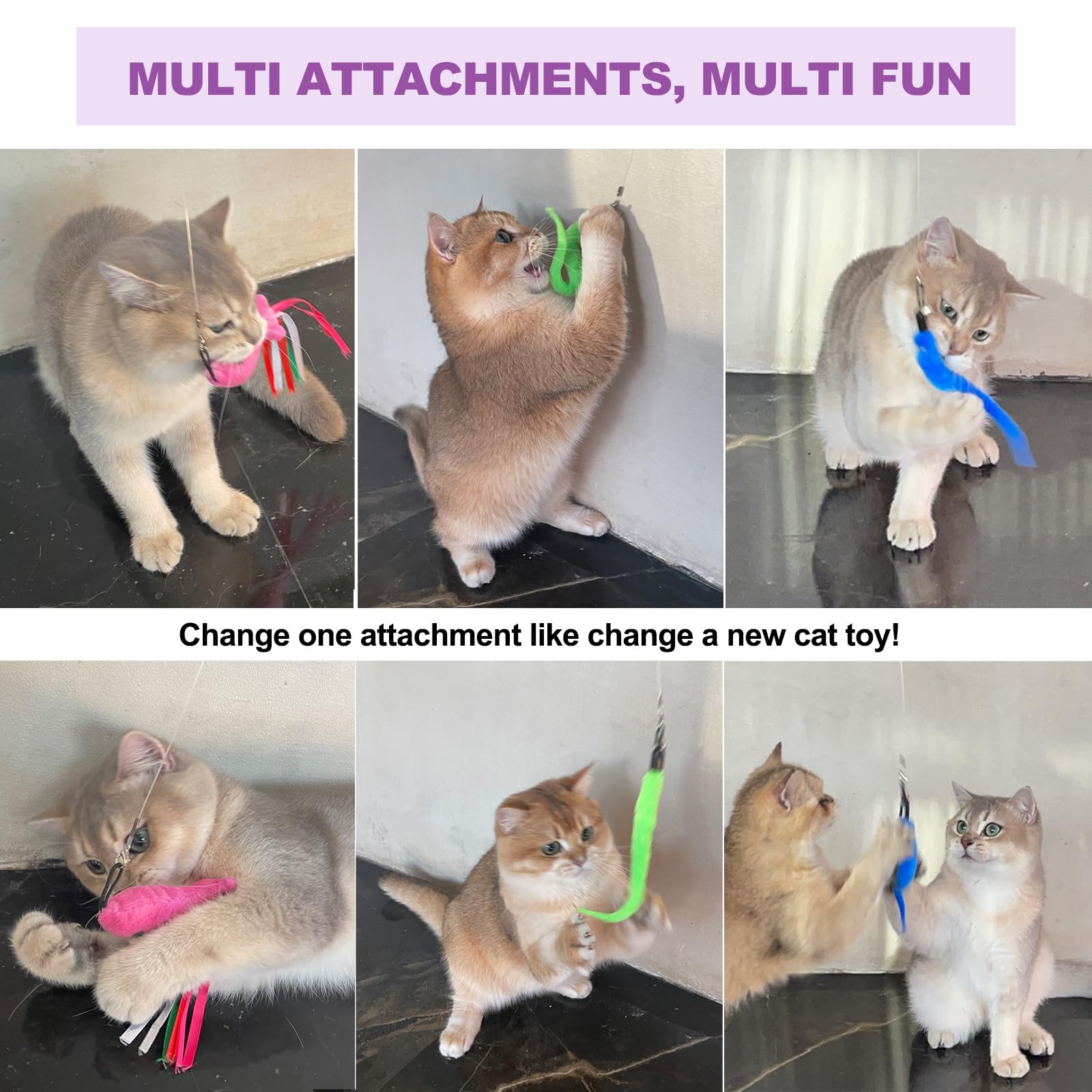 Chat en action avec le set ZeyZoo, jeux intérieurs stimulants.