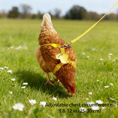 Attache-sécurisée harnais poulets Zhenyoubml facile à attacher et sécurisant.