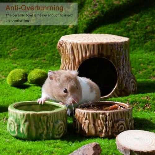Bol Zhilishu anti-mordillage en céramique, résistant et stable pour petits animaux.