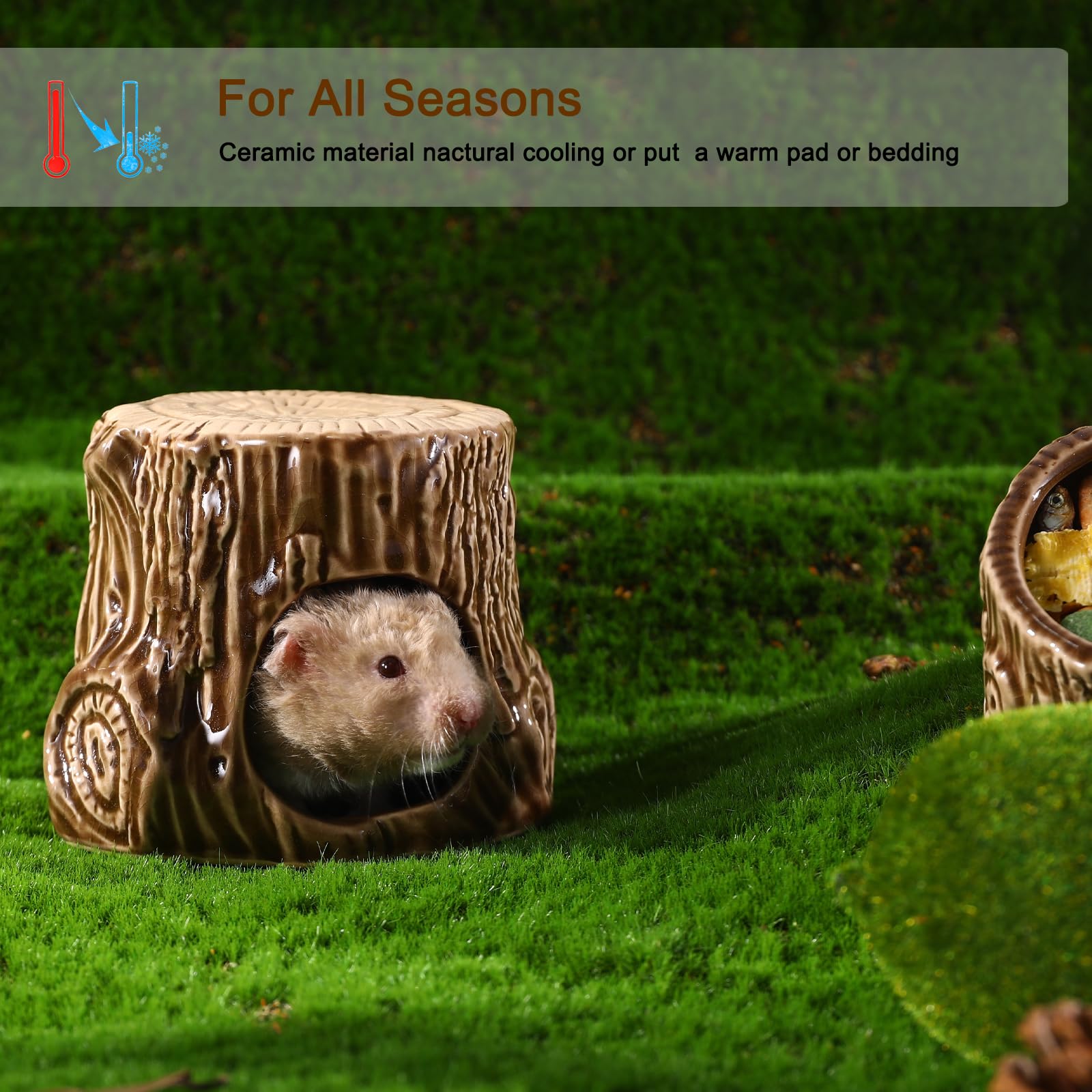 Zhilishu cache-hamster ceramique antimorsure: refuge durable contre les morsures.