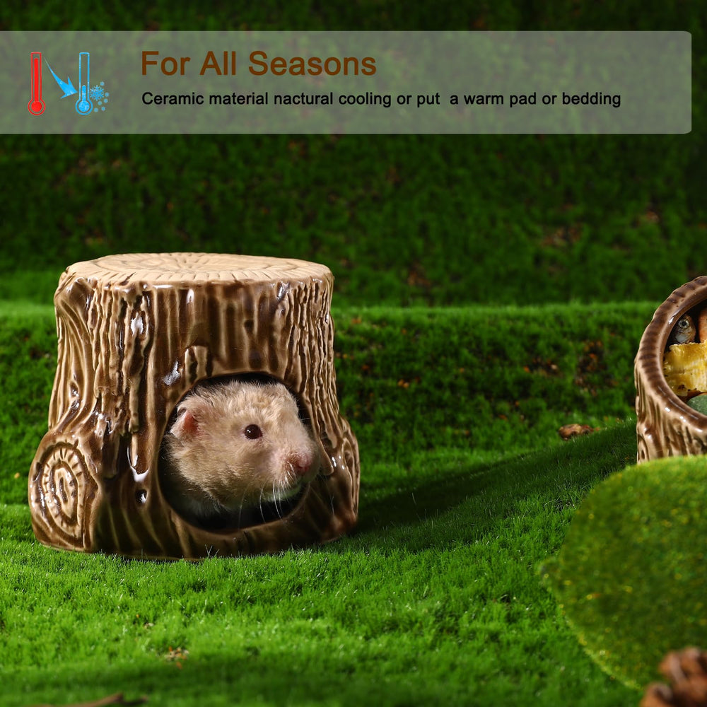 Zhilishu cache-hamster ceramique antimorsure: refuge durable contre les morsures.