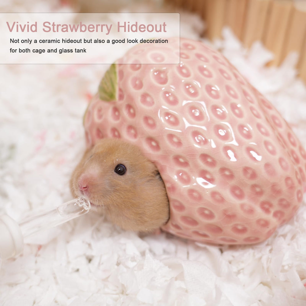 Deco hamster cage fraise Zhilishu, ajoute une touche ludique et réconfortante.