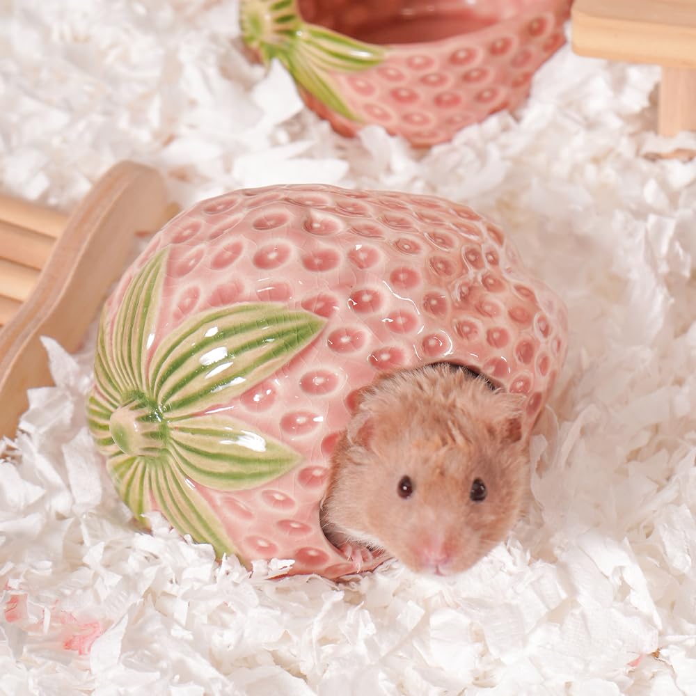Abri hamster en céramique Zhilishu, design durable et facile à nettoyer.