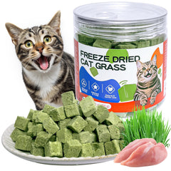 ZHSteveG friandises chat herbe-seche lyophilise, emballage pratique et naturel.
