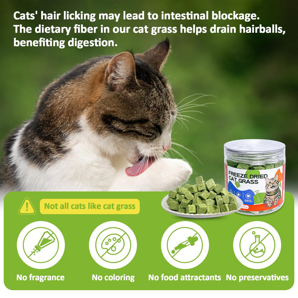 ZHSteveG sante-digestion-chat-herbe, soutien digestif naturel lors des collations.