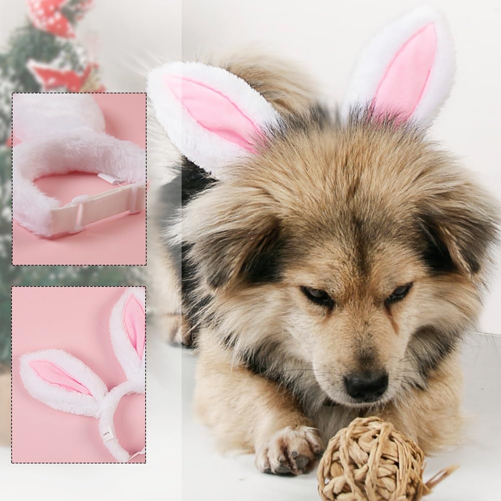 Oreilles lapin molles Zhzrche, confort assuré pendant les photos de fête.