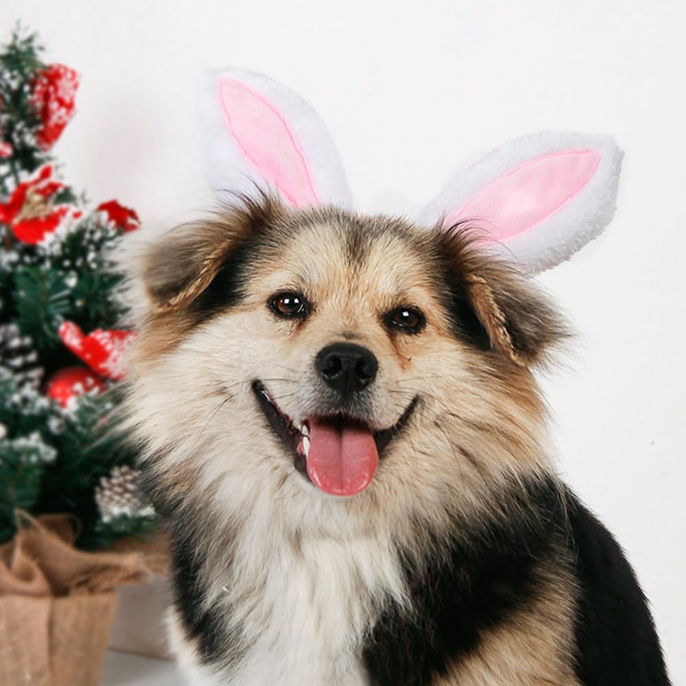Accessoire de déguisement Zhzrche pour fêtes festives avec ce bandeau.