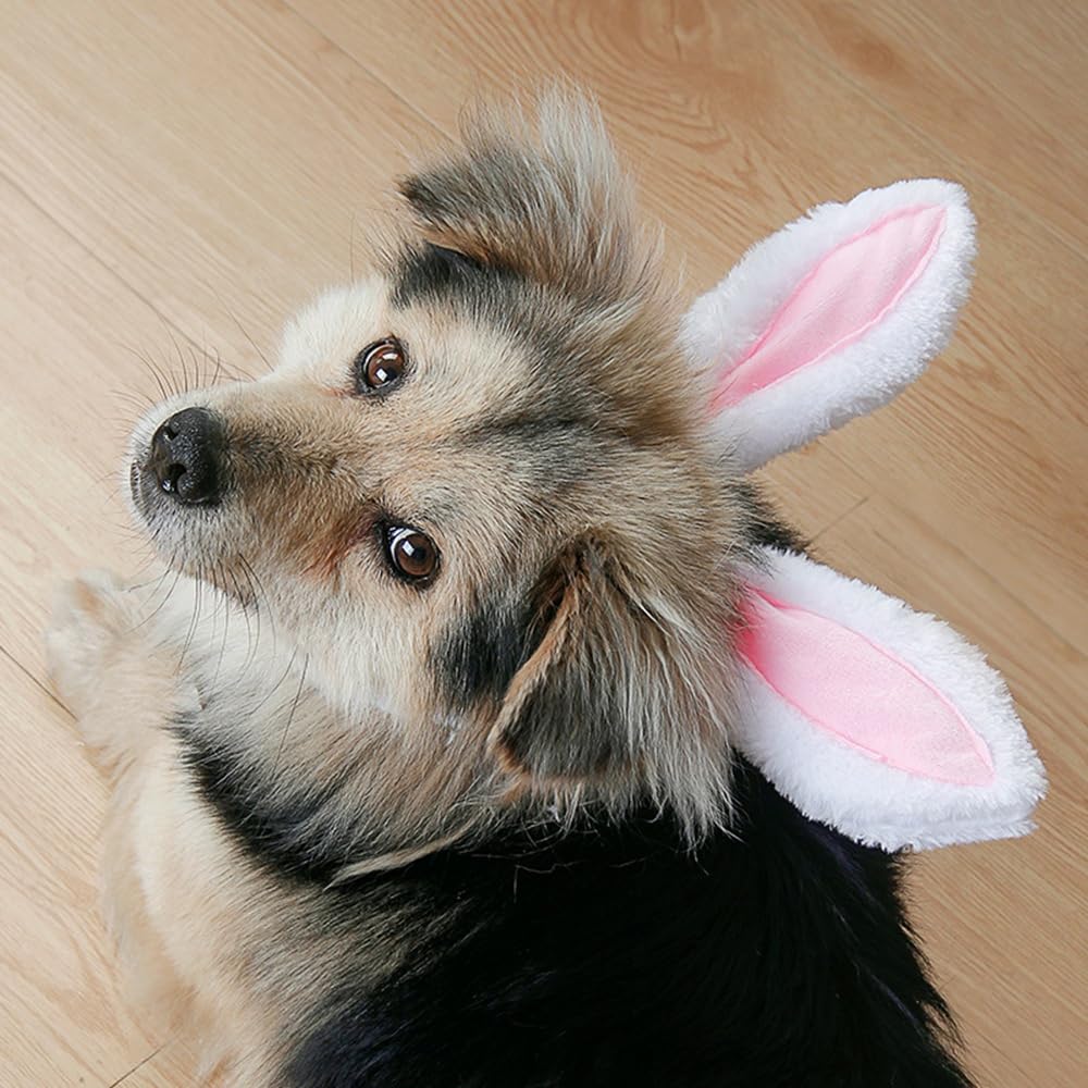 Bandeau oreilles lapin Zhzrche pratique et sûr pour les jeux de rôle.