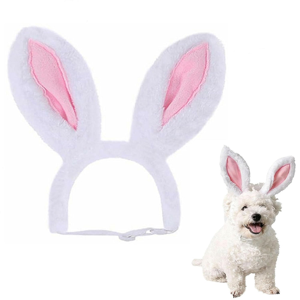 Chapeau Zhzrche avec oreilles lapin en peluche sur petit chien, parfait pour Pâques.