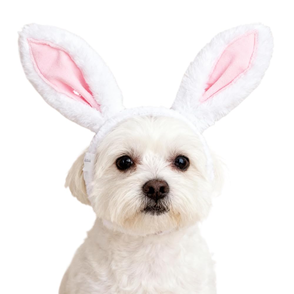 Costume Zhzrche pour animaux, oreilles lapin en peluche, usage fêtes et photos.