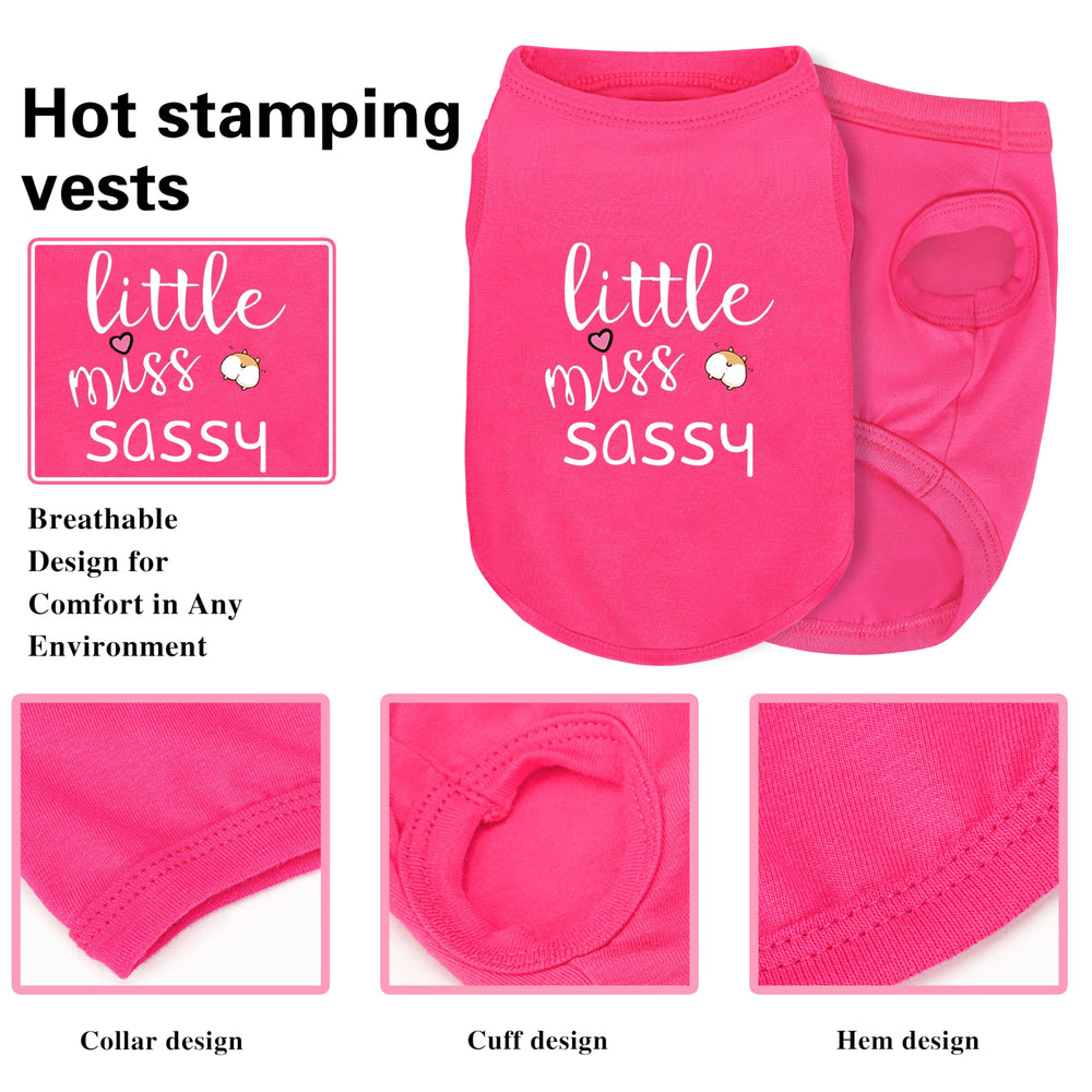 Tenue Ziagaop chien rose polyvalente, adaptée à jeux et balades.
