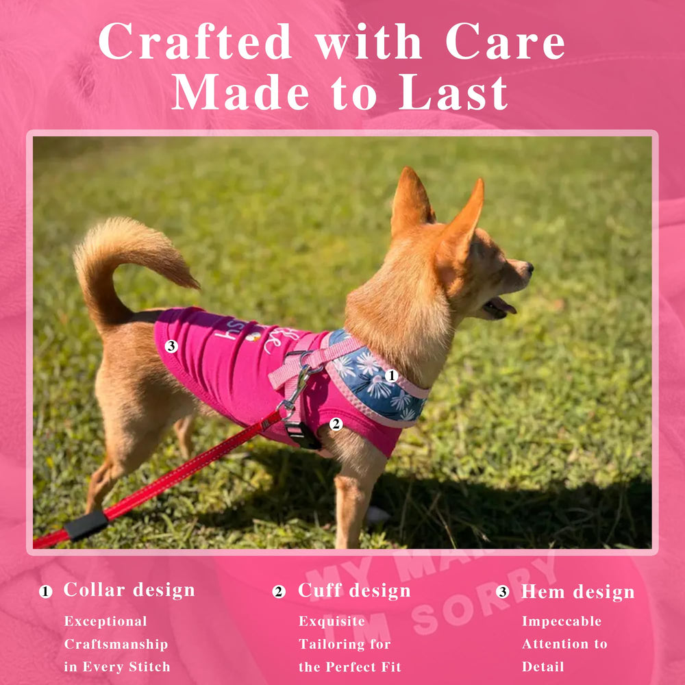 Options de couleur rose Ziagaop pour assortir au style de votre chien.