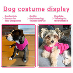 ZIAGAOP-vue-arriere-haut-chien : design soigné et confort tout au long de la journée.